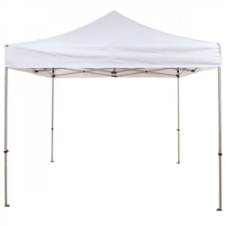 10' x 10' Tent